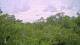 Metairie, Louisiana 08.06.2025 13:09