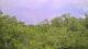 Metairie, Louisiana 02.07.2025 13:09