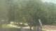 Fairview, Tennessee 14.06.2025 13:10