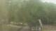 Fairview, Tennessee 30.04.2025 13:10