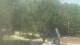 Fairview, Tennessee 12.07.2025 13:10