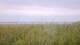 Juist 11.07.2025 13:57