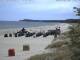 Trassenheide 25.04.2025 13:47