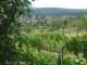 Feuerbach 11.07.2025 13:57