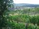Feuerbach 12.07.2025 13:57