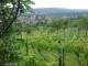 Feuerbach 08.06.2025 13:58