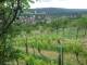 Feuerbach 19.05.2025 13:58