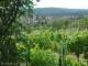 Feuerbach 12.06.2025 13:58