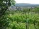 Feuerbach 14.06.2025 13:58