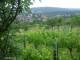 Feuerbach 14.06.2025 13:58