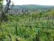 Feuerbach 29.04.2025 13:58