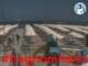 Cesenatico 14.07.2025 13:47