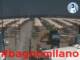 Cesenatico 02.07.2025 13:47