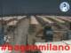 Cesenatico 22.06.2025 13:47