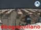 Cesenatico 14.06.2025 13:47