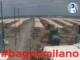 Césenatico 15.06.2025 13:47