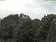 Parkstein 08.06.2025 13:58