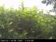 Presseggersee 09.06.2025 13:47