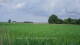 't Zandt 09.06.2025 13:58