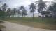 Malolo Lailai 13.07.2025 13:08