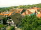 Sasbachwald 14.06.2025 13:47