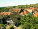 Sasbachwald 10.05.2025 13:47