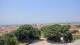 Perpignan 08.06.2025 13:59