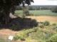 Schneverdingen 09.07.2025 13:47