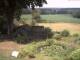 Schneverdingen 15.07.2025 13:48