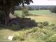 Schneverdingen 14.06.2025 13:47
