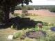 Schneverdingen 10.05.2025 13:47