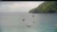 Les Anses-d'Arlet 01.07.2025 13:57