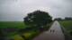 Schwinge 08.06.2025 13:59