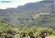Monte Finonchio 09.07.2025 13:47