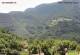 Monte Finonchio 15.07.2025 13:48