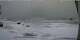Kapp Linneo (Spitsbergen) 11.05.2025 13:59