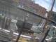 Boston, Massachusetts 29.04.2025 13:59