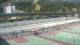 Saint-Étienne-en-Dévoluy 14.07.2025 13:09