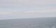 AIDAmar 24.06.2025 13:00