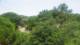 Port-Vendres 15.06.2025 13:01