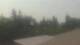 Medina, Washington 04.08.2026 13:16