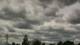Hewlett, New York 12.05.2025 13:17