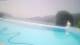 Maccagno (Lago Maggiore) 15.06.2025 13:47