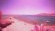 Dahab 30.04.2025 13:04