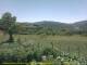 Cantalupo Ligure 08.07.2025 13:04