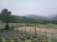 Cantalupo Ligure 09.06.2025 13:04
