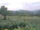 Cantalupo Ligure 06.07.2025 13:04