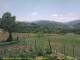 Cantalupo Ligure 14.06.2025 13:04