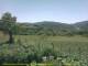 Cantalupo Ligure 07.07.2025 13:04