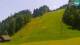 Kranjska Gora 15.06.2025 13:04